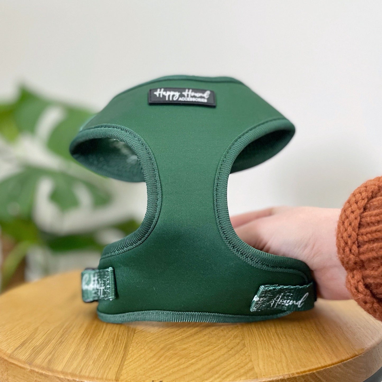 Forest Green Harness | The Colour Collection