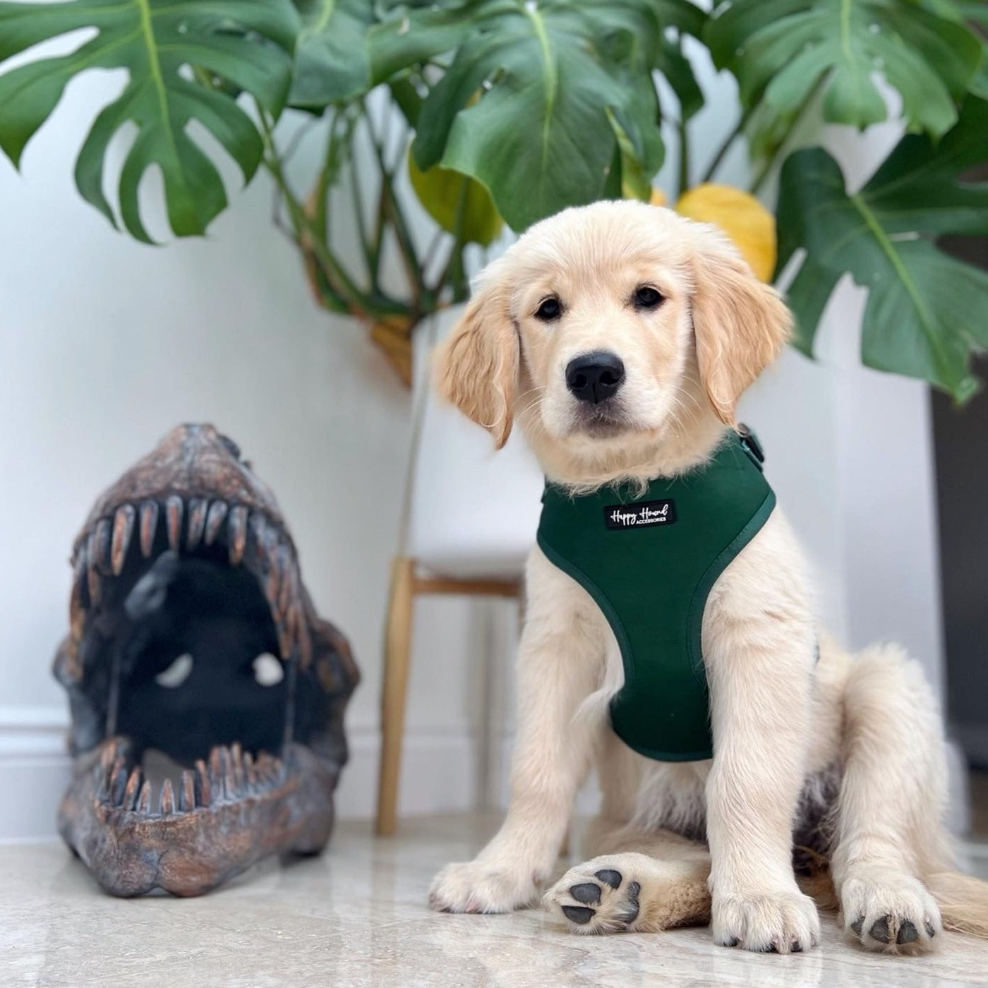 Forest Green Harness | The Colour Collection