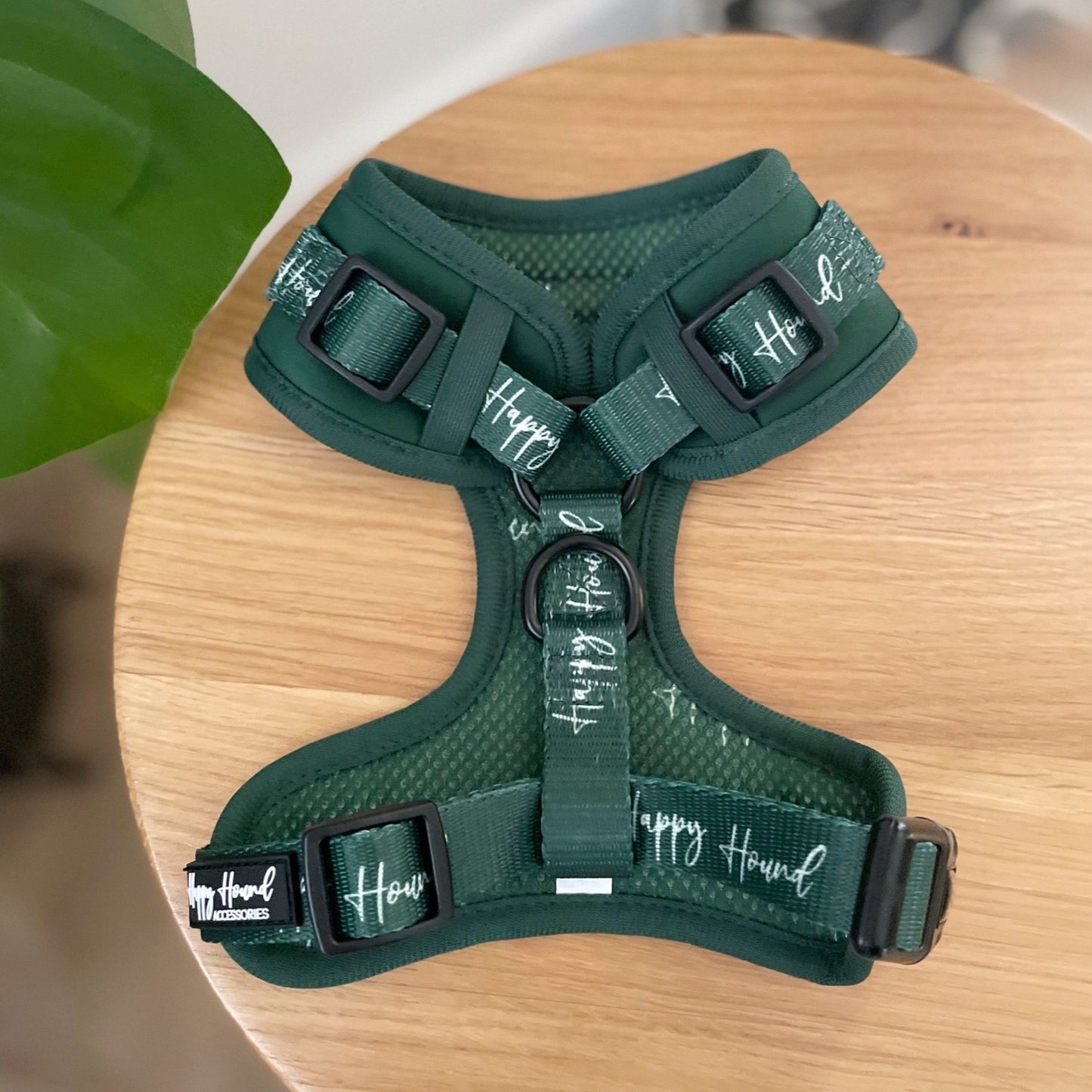 Forest Green Harness | The Colour Collection