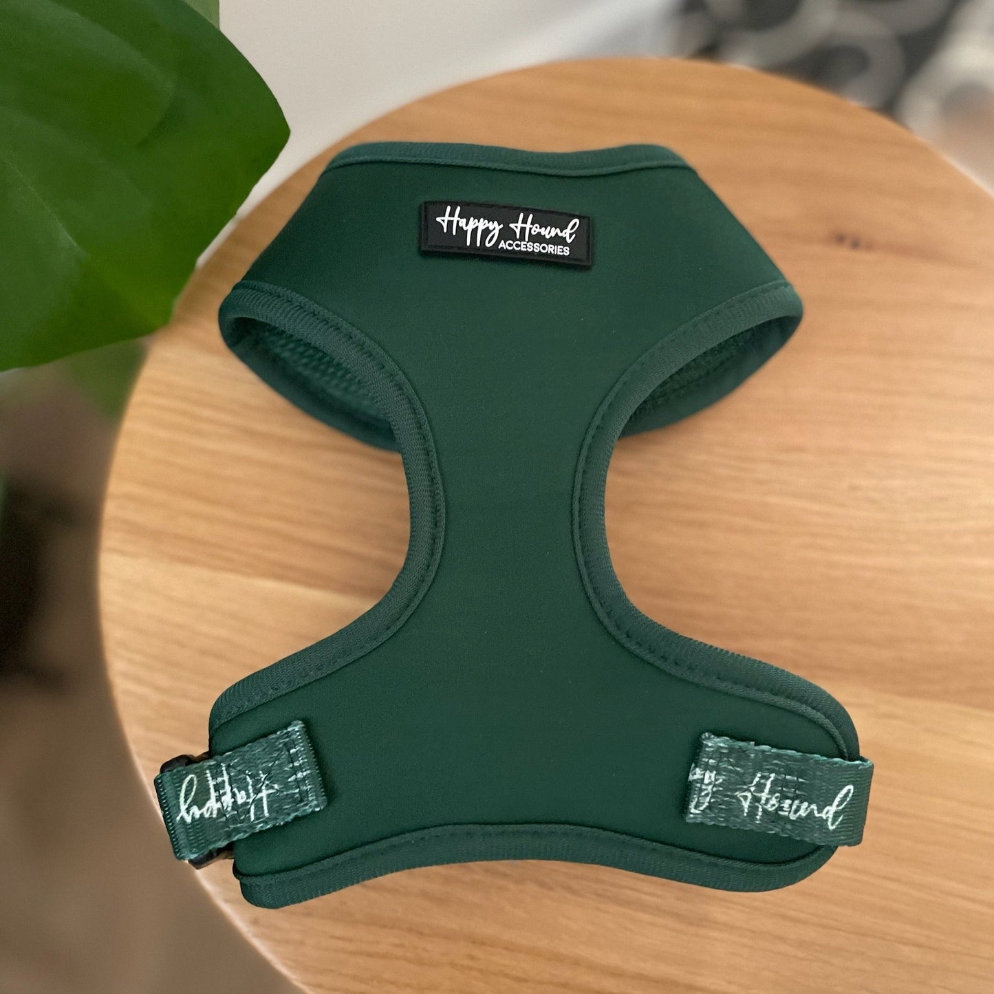 Forest Green Harness | The Colour Collection