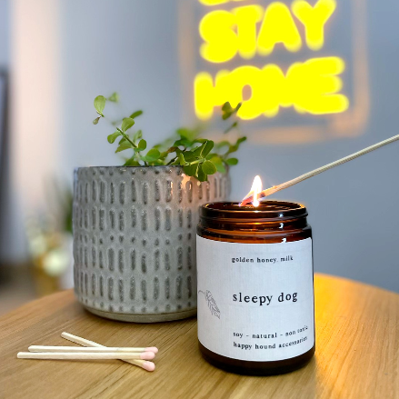 Soy Candle | Golden Honey & Milk | Sleepy Dog