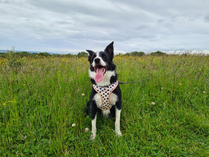 Pepper | Ready To Wear Dog Harness