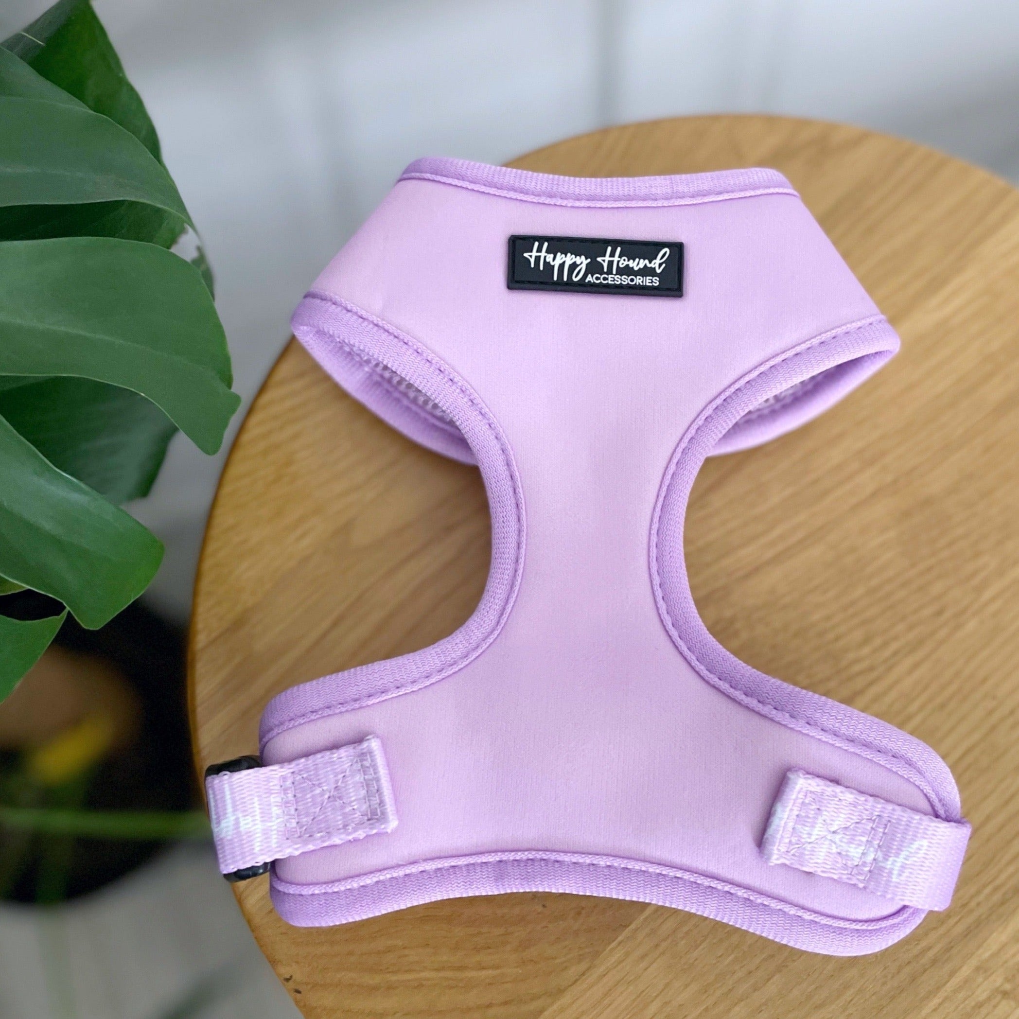 Lilac Skate store Leash Harness