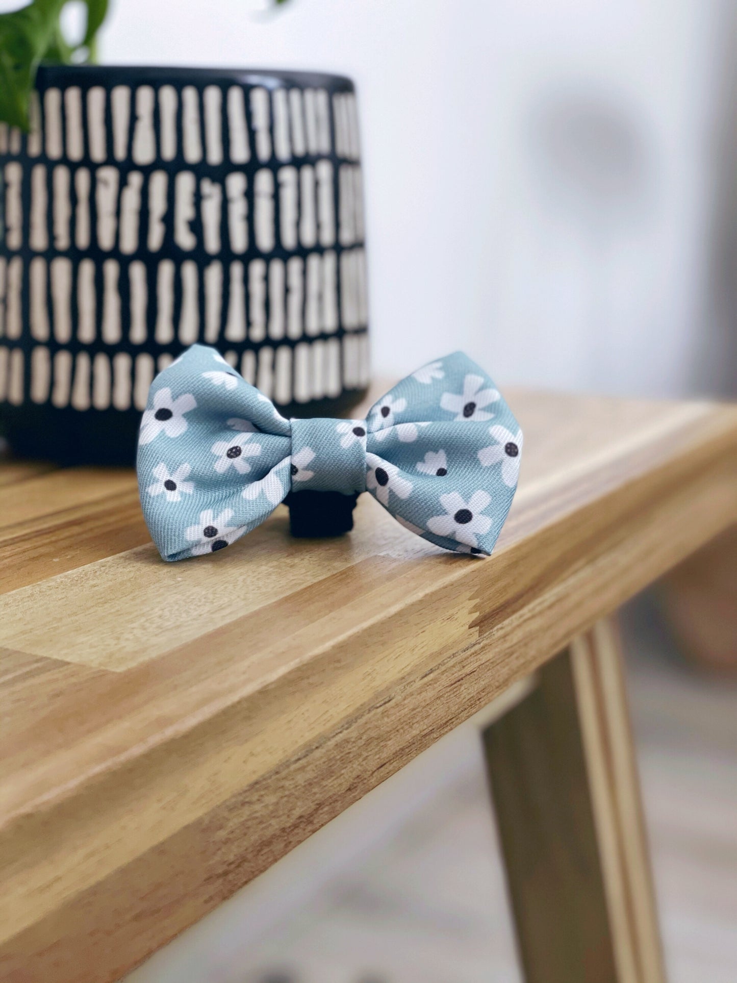 Daisy | Bow Tie