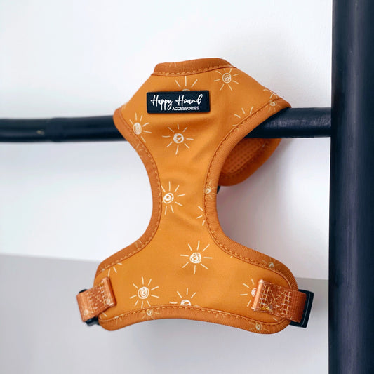 Orla | Ready To Wear Dog Harness